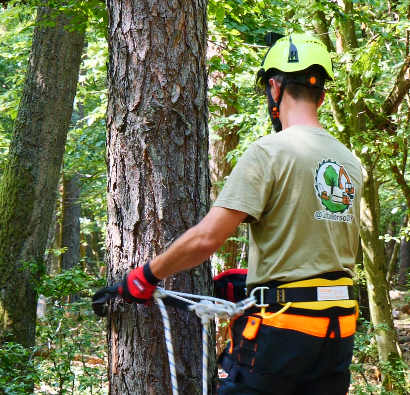 Borsodi Zoltán egyéni vállalkozó