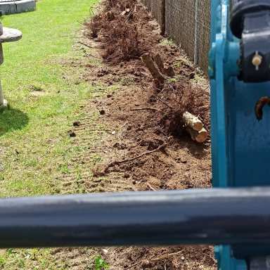 Zöld terület-kezelés