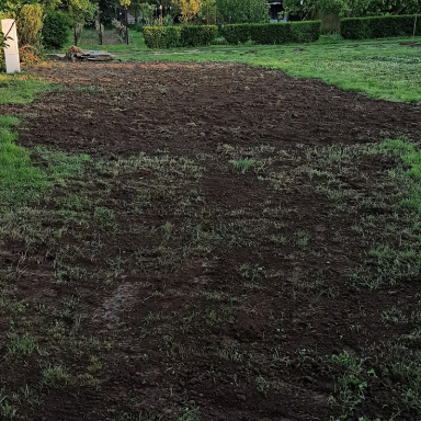 Házikert -gondozás